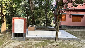 Grave of Humayun Azad 2