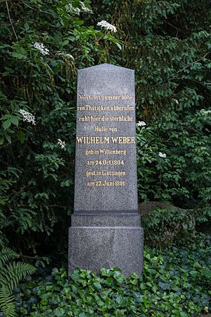 Grave of Wilhelm Eduard Weber at Stadtfriedhof Göttingen 2017 01