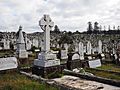 Graves at Waverley Cemetery July 2018