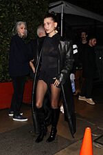 Hailey Bieber in Short Sheer Mesh Dress