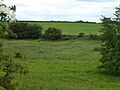 Hindringham Meadows 6