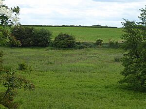 Hindringham Meadows 6