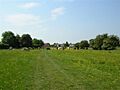 Hob Moor - geograph.org.uk - 184476
