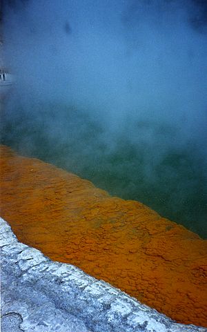 Iron oxide salt deposits at the edge of a geothermal lake in Waimangu Volcanic Valley, Rotorua, New Zealand - panoramio
