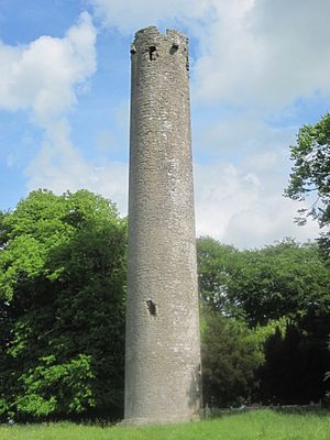 Kilree Round Tower, Co. Kilkenny