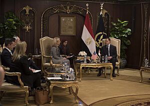 Kirstjen Nielsen meets with Sherif Fathi in Cairo