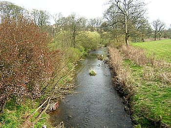 Levern Water at Househillwood - geograph.org.uk - 156741.jpg