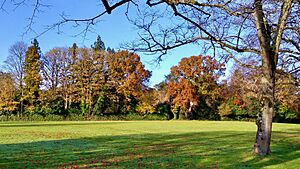 Lion Green, Shottermill, Haslemere (Nov 2021)