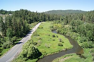 LittleSpokaneRiver&DartfordDrive