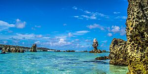 Living on a Blue Planet - Nauru