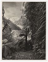 Black and white image showing a tree fern and vegetation in the foreground and Franz Josef Glacier and mountains behind