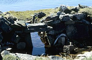 Mallikjuaq Thule site 1 1995-06-19
