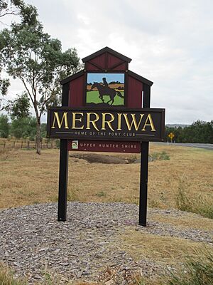 Merriwa sign