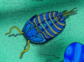 Meteoraspis cropped
