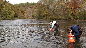 Montreat College students explore the Little Tennessee River (5149490458)