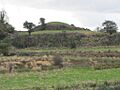 Mound of Down