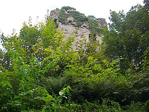 Myrton Castle by Bob Embleton