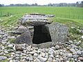 NetherLargieSouth1