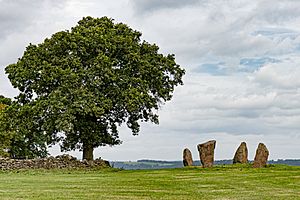 Nine Stones Close, Derbyshire, showing the four stones that remain.jpg