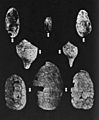 Norton Mound Group 8