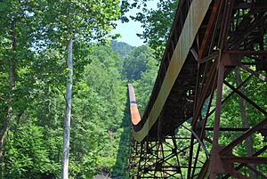 Nuttallburg WV - Mine Conveyor