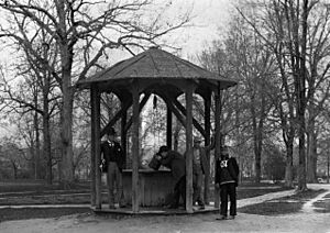 Old Well 1892