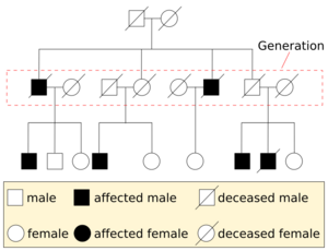 Pedigree-chart-example