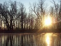 Penn's Creek Sunrise