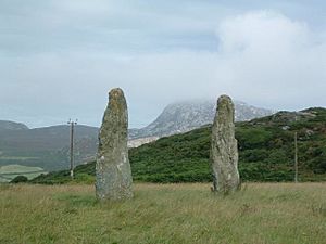 Penrhos Feilw - geograph.org.uk - 216