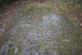 Petroglyph Provincial Park petroglyphs 2.jpg