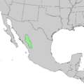 Pinus cooperi range map 1