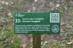 Queen’s Green Canopy Swensson Park Žilina QR code