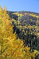 Rabbit Ears pass 2014 