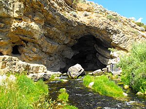 Ricks Spring