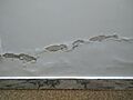 Rising-damp