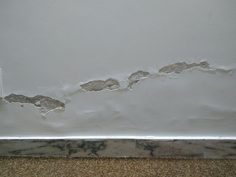 Rising-damp