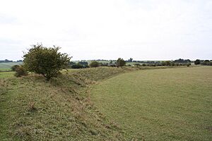 Segsbury Camp - geograph.org.uk - 61183