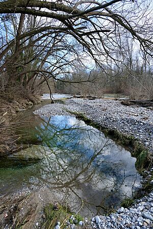 Shallows along the Leitha River