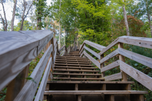Sone Mountain Stairs
