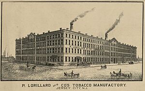 Taylor Map - P. Lorillard Tobacco Manufactory