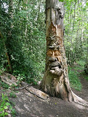 The Green Man Sculpture in Lesnes Abbey Woods