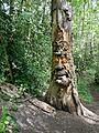 The Green Man Sculpture in Lesnes Abbey Woods.jpg