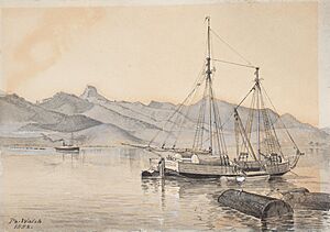 Timber scow with view of Coromandel Harbour & Castle Rock (48752610662) (cropped)