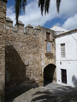 Vejer-p1020217