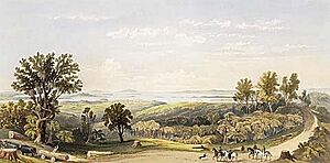 View of the Firth of the Thames, Waitemata, Tamaki, and Gulf of Hauraki, from the Howick Ranges (1862)