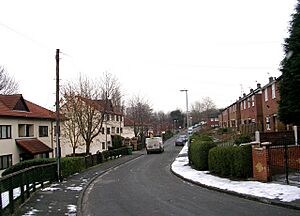 Wellstone Garth - Wellstone Avenue - geograph.org.uk - 1159462