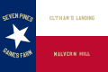 1st Texas Infantry Regiment Flag