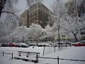 370RSD in winter from the park