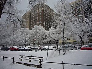 370RSD in winter from the park