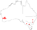 Acacia denticulosaDistMap275